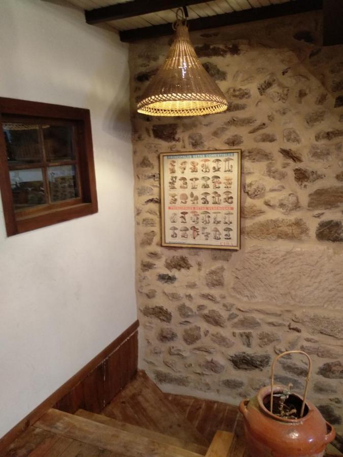 Casa Ribeira Sacra, Ourense, Ninodaguia, Galicia Exteriér fotografie